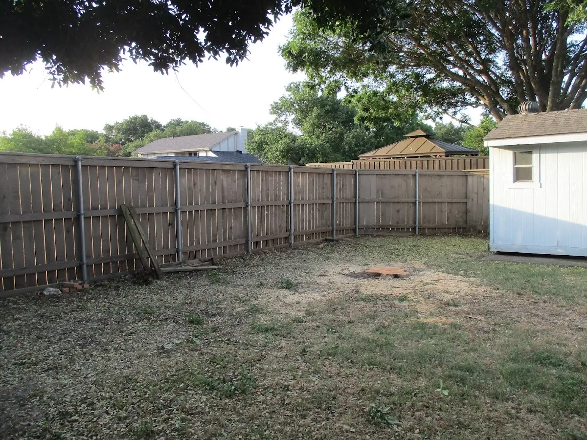 Cleared yard after professional tree removal in Fruitland